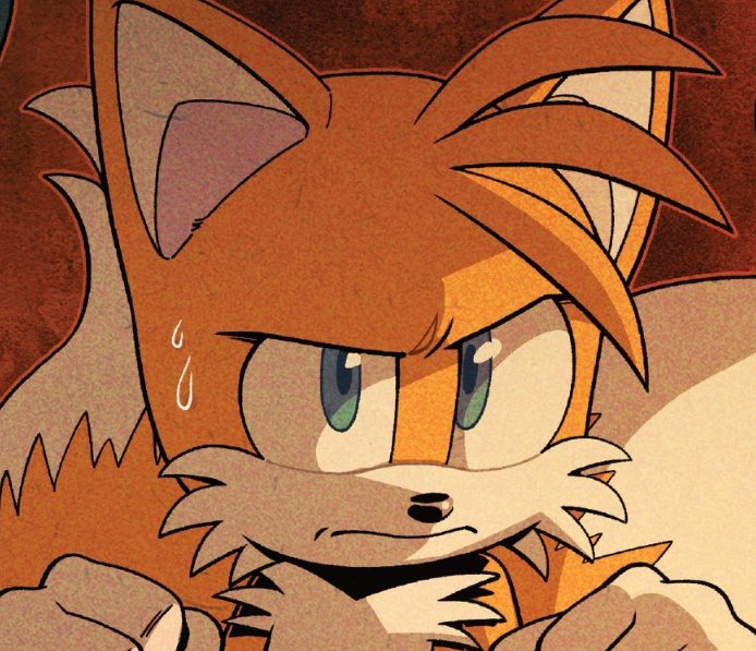 Daily Tails Pics tweet media