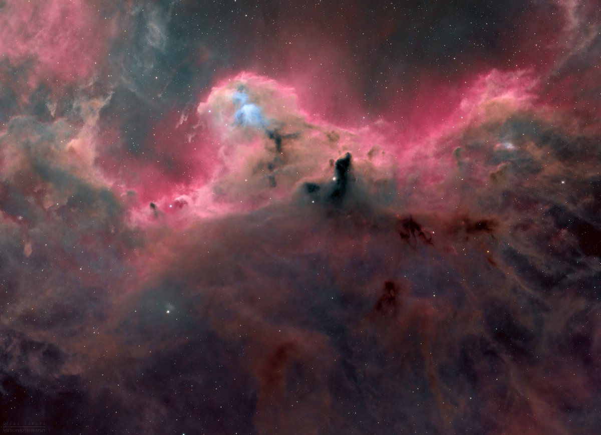 jaume_zapata's tweet photo. Barnard 30 in Orion

33h 50' total integration

#Astrophotography

#CielosESA 

#Astronomy https://t.co/8IradY03Es