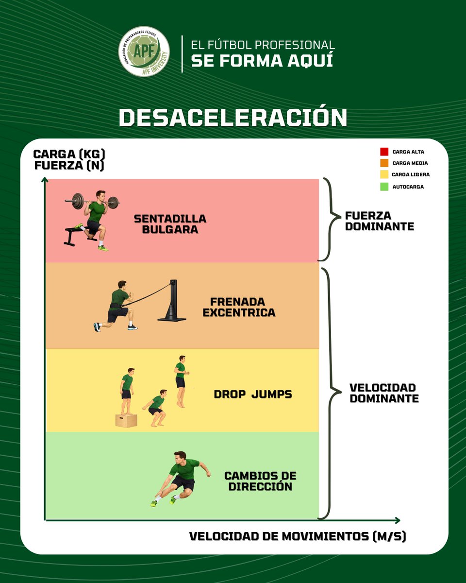 🧵 HILO | La desaceleración en el fútbol
🛑 La desaceleración: la habilidad más ignorada y más lesiva del fútbol

En el fútbol profesional, un jugador realiza entre 30 y 60 acciones de alta intensidad por partido…
y casi la mitad implican desaceleraciones bruscas.