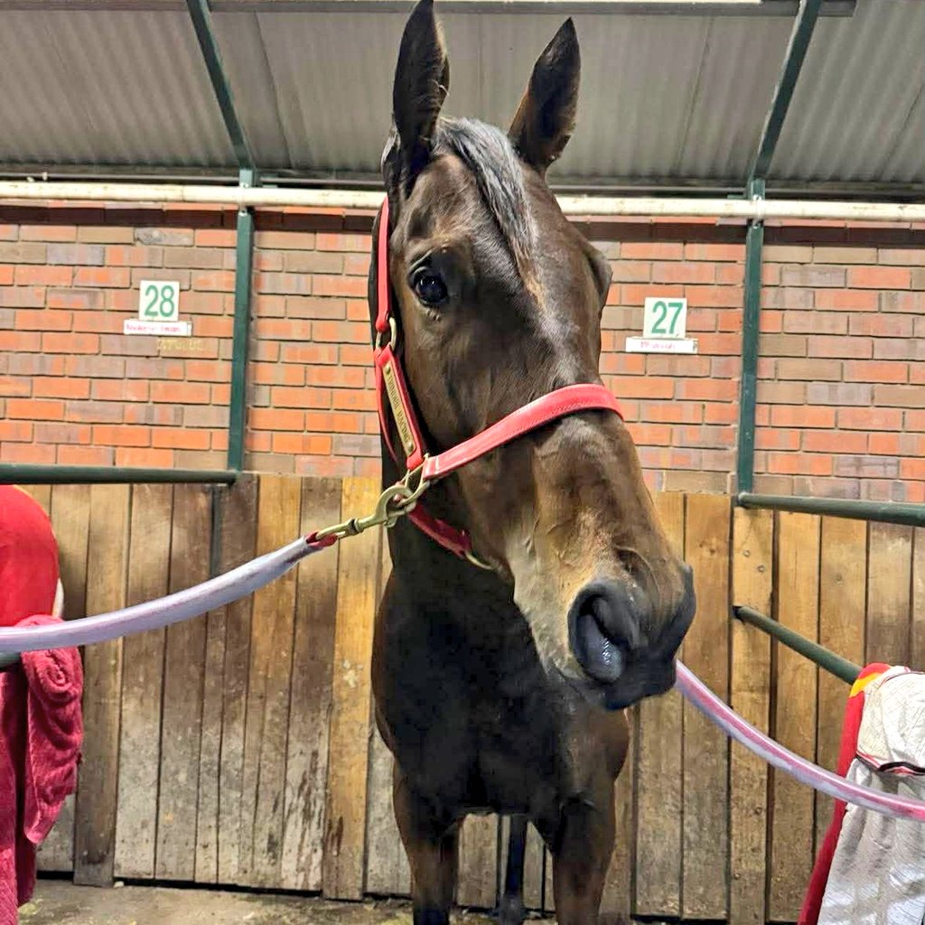 Trinder Racing tweet media