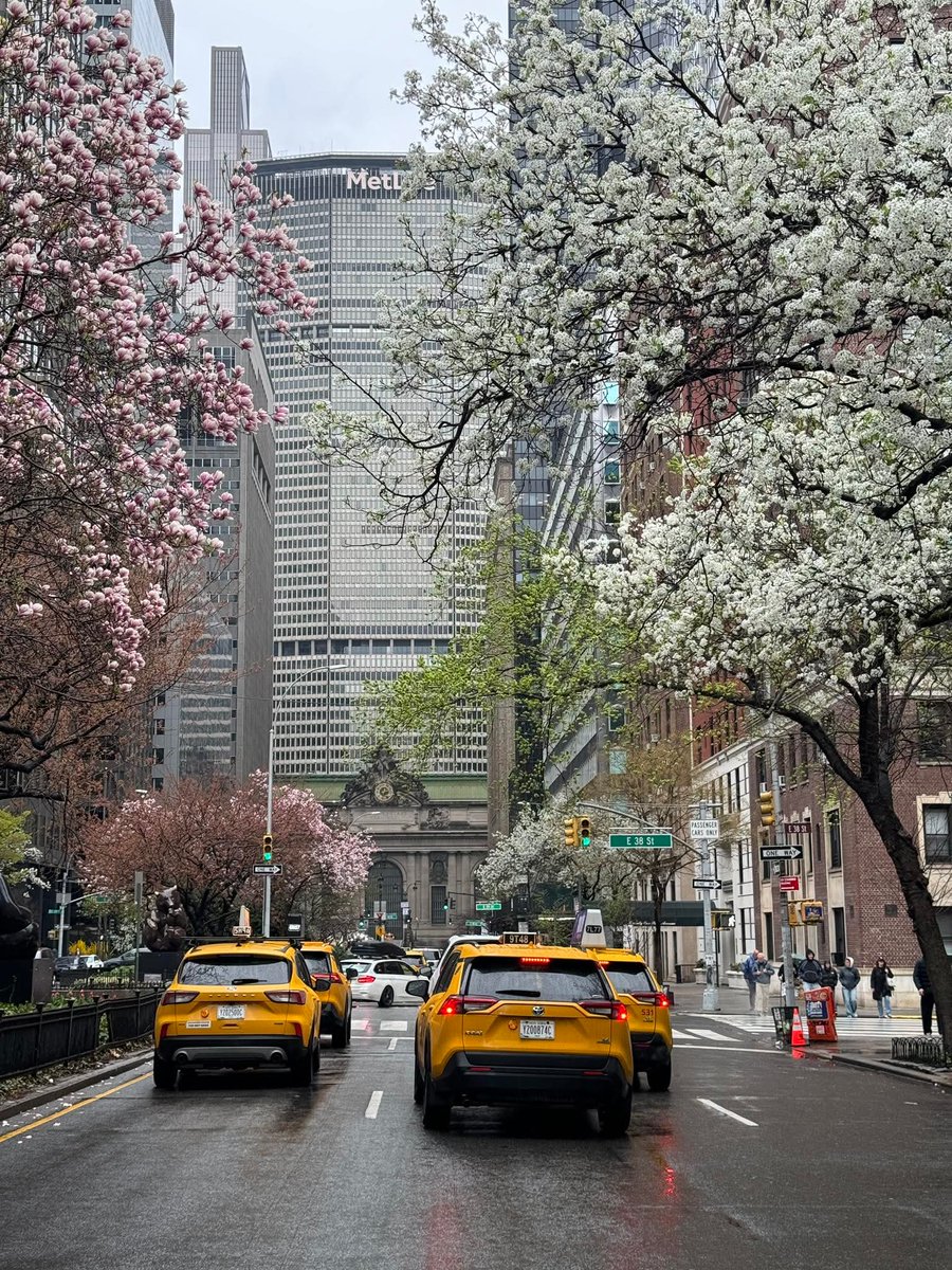 Pretty Cities tweet media