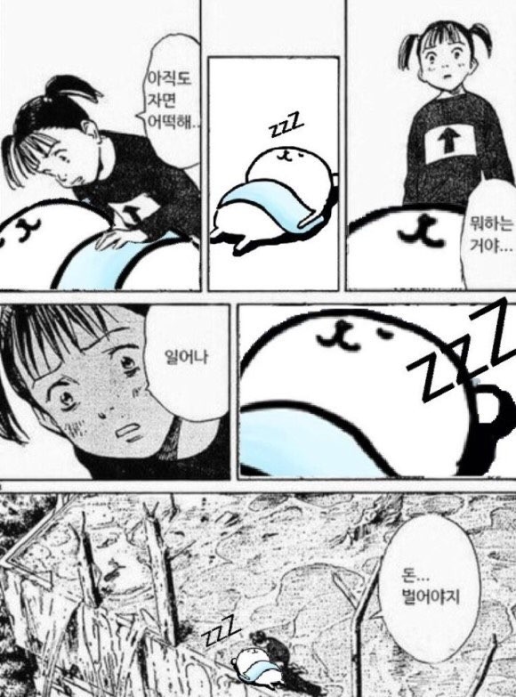 계절 🌿 tweet media