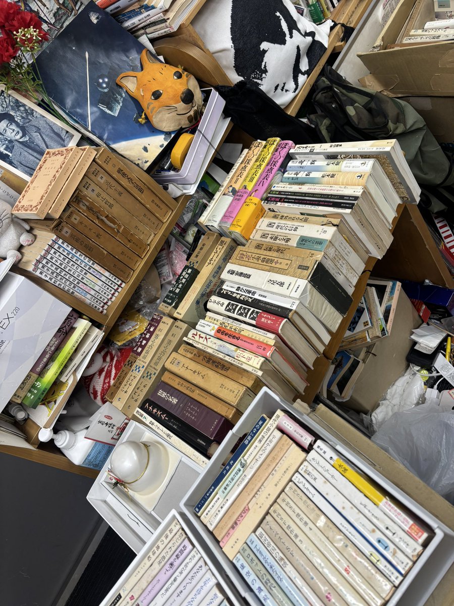 浅羽通明の古書窟/BAKENEKOBOOKS ふるほんどらねこ堂(犬派のきみには狂狷舎) tweet media