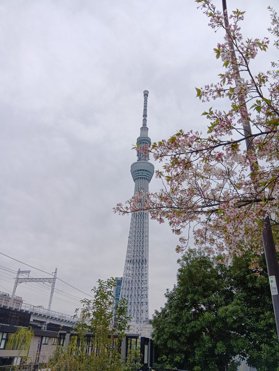 akechan🎵 tweet media