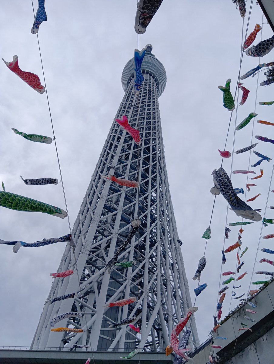 akechan🎵 tweet media