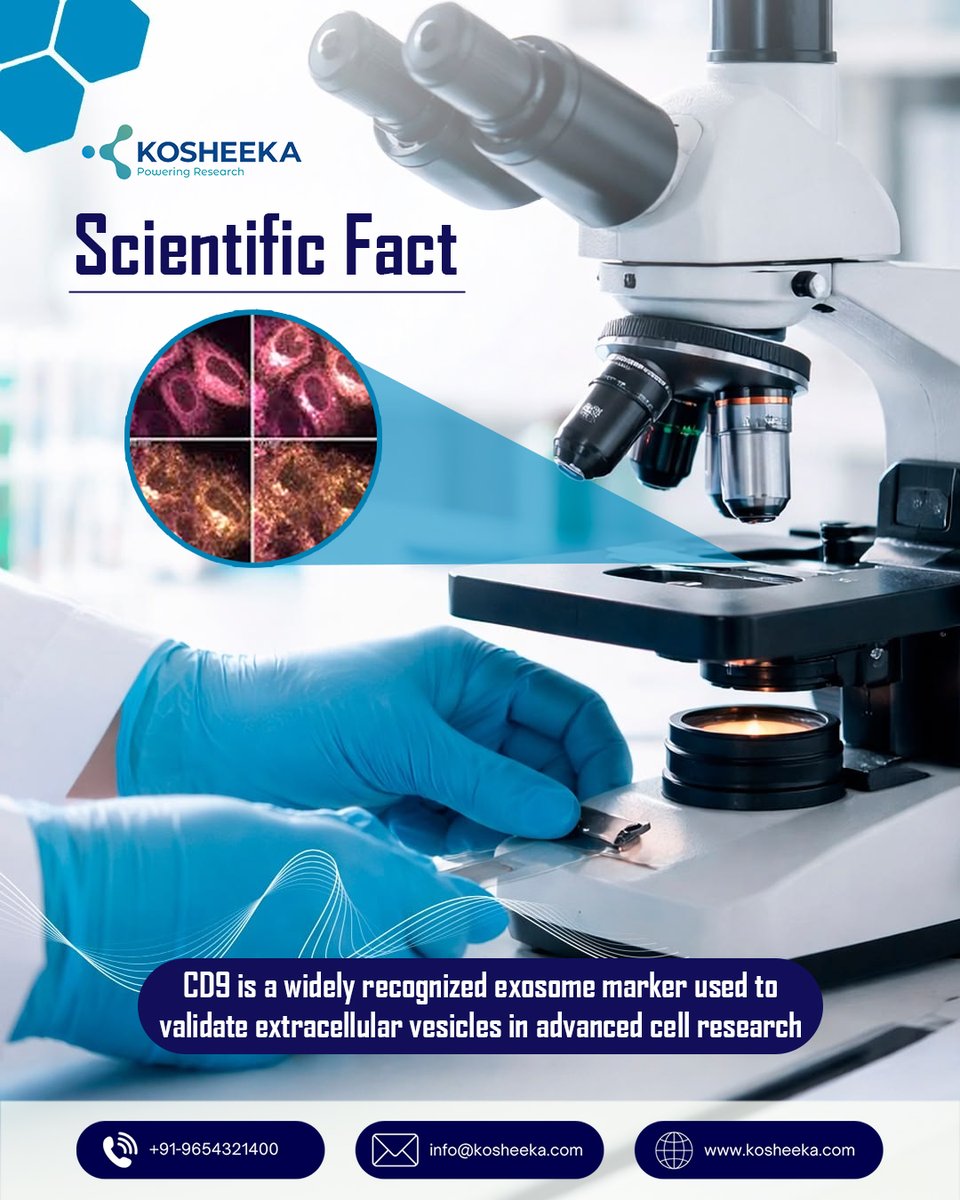 kosheeka tweet media