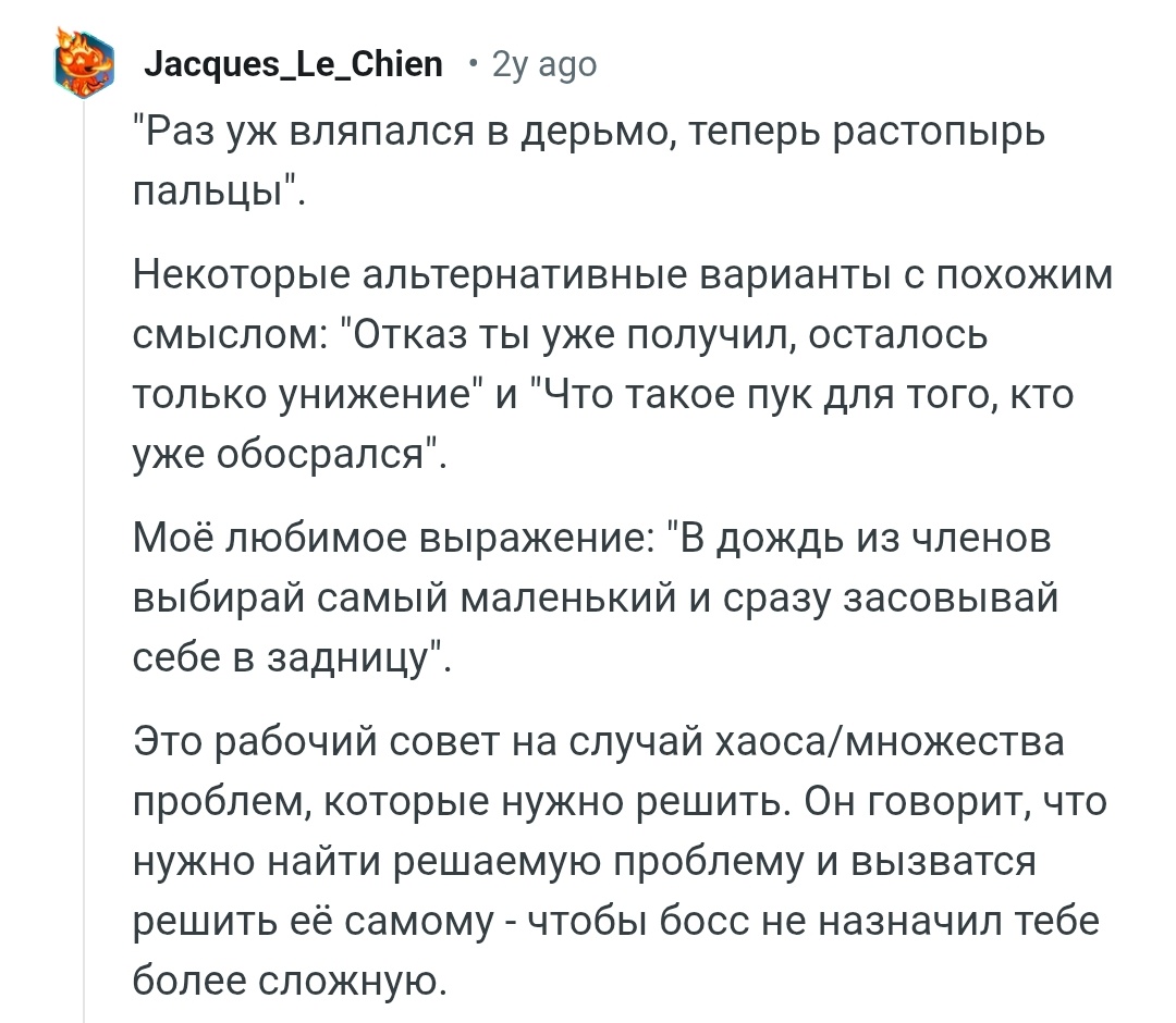 🍄rea🐿️ tweet media