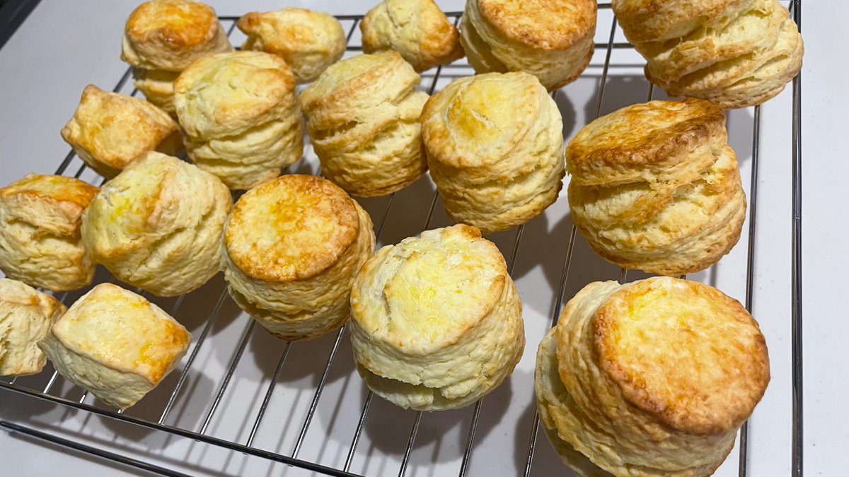 カルミア🍤ししょー tweet media