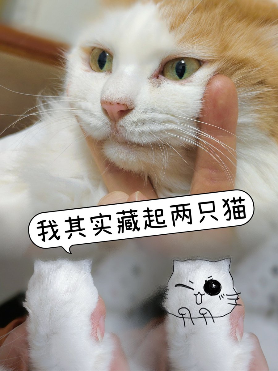 Alan Baldwin tweet media