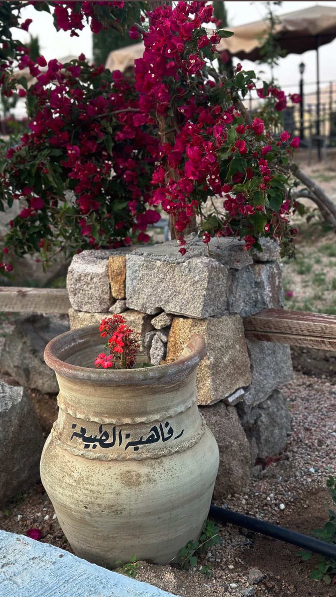 malsofyani12345's tweet photo. الورد الطائفي ليس مجرد زهرة، بل هو هوية متوارثة عبر الأجيال؛ من أجدادٍ غرسوا عبقه في جبال الطائف، إلى أحفادٍ يحملون رسالته عطرًا وتاريخًا لا ينضب
#مزرعة_مشعل #الطائف #الشفا 
#مهرجان_الورد_الطائفي https://t.co/iAthZf7Kjj