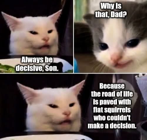 DD Young tweet media