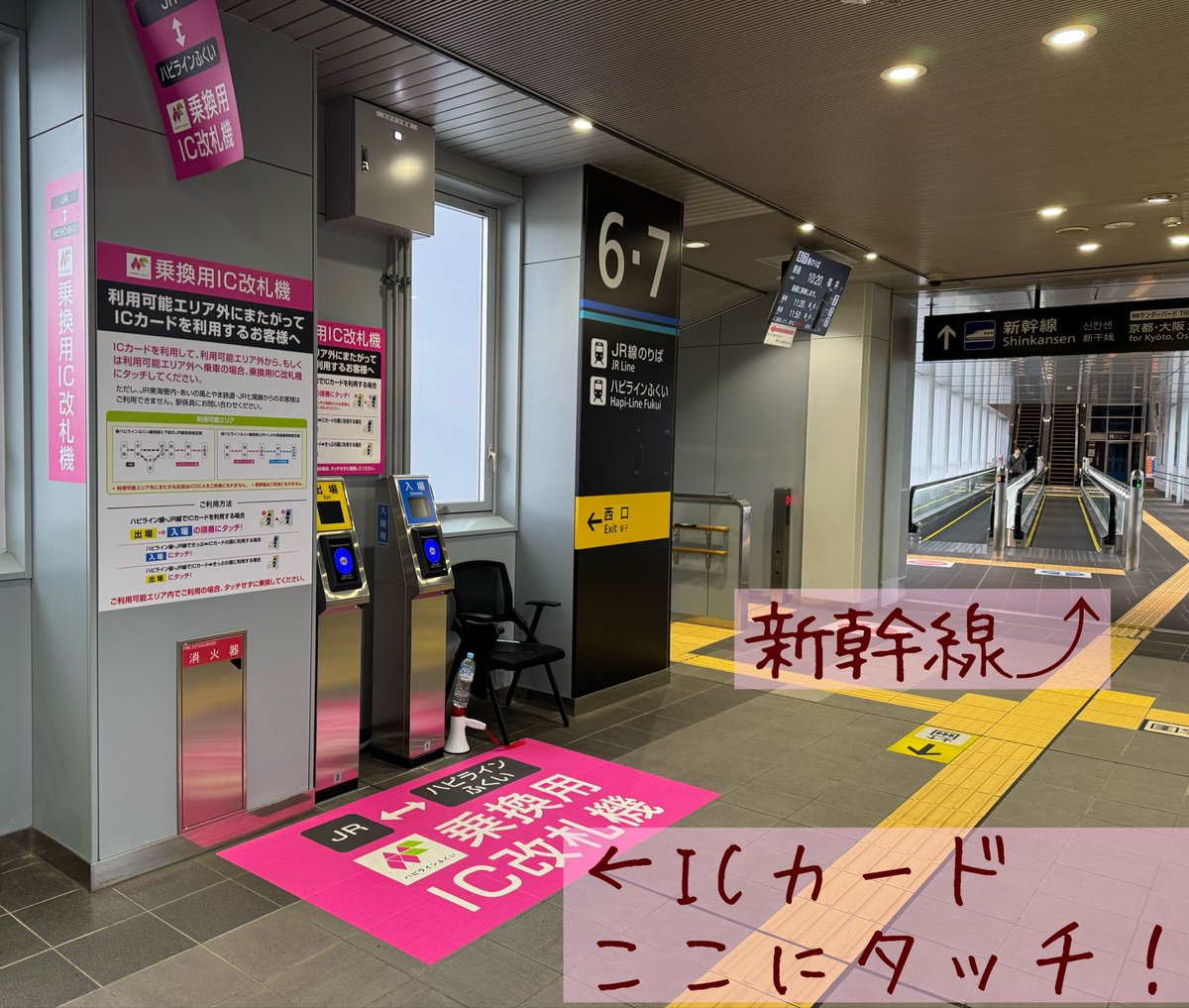 ぇりーめぃ🐾ฅ( ˙꒳​˙ ฅ) tweet media