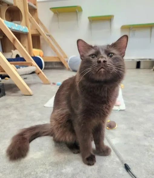 Nimra Shahzadi ❣️ tweet media