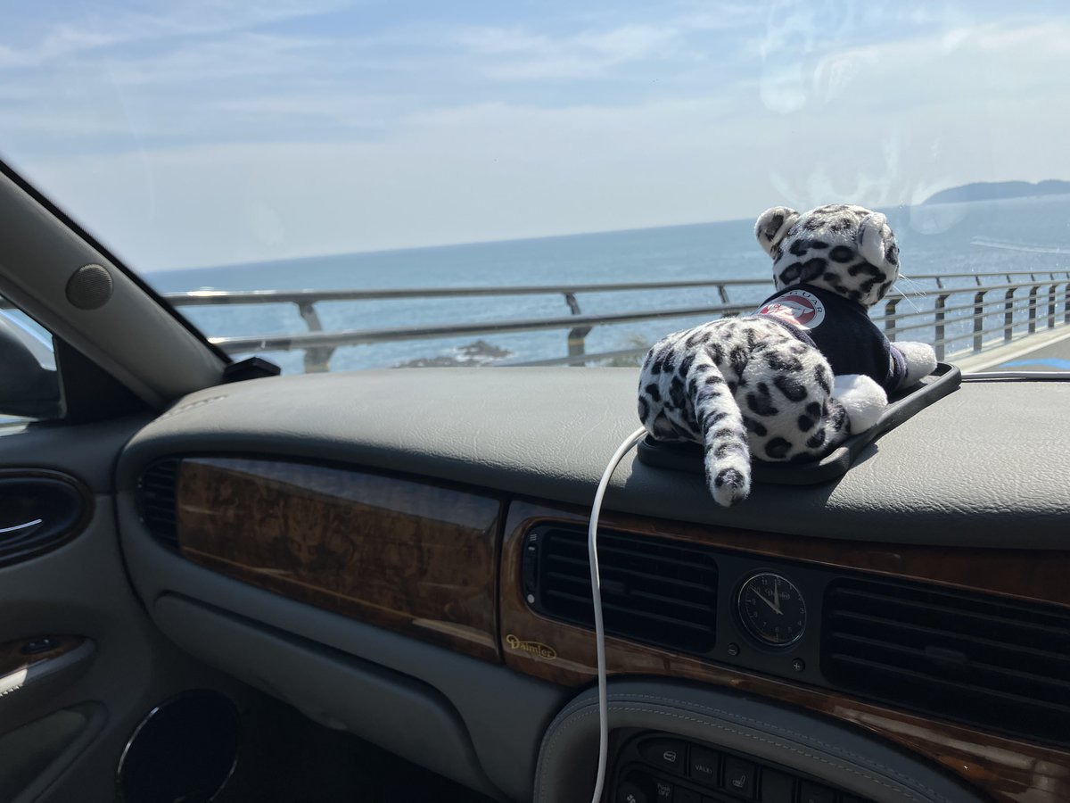 brian(ブライアン) tweet media