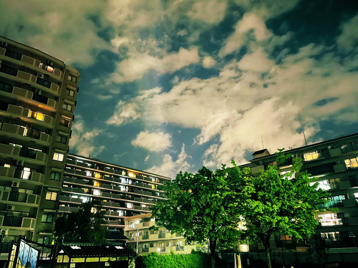 ちゃっきー tweet media