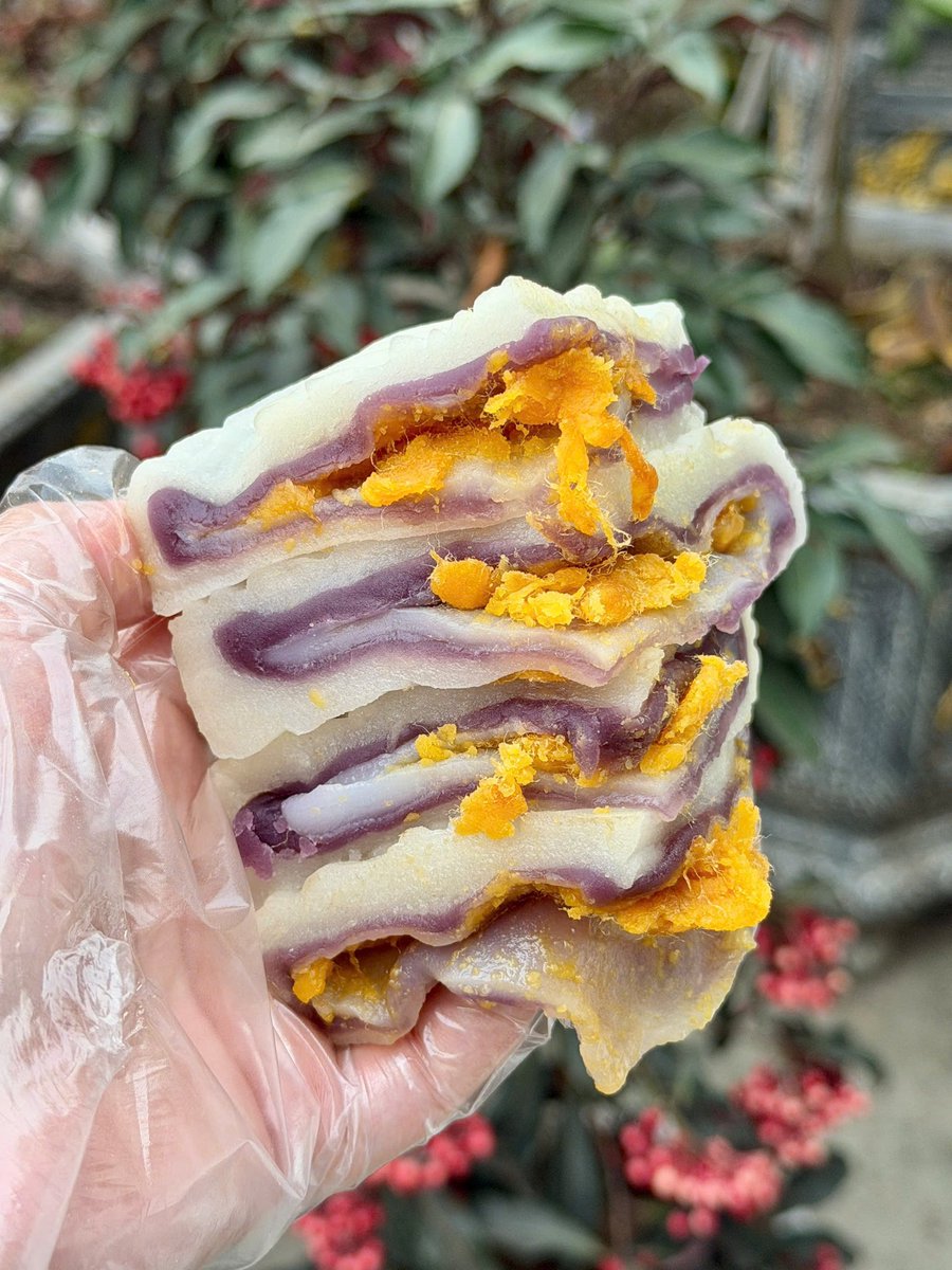 Phạm Na | DDA tweet media