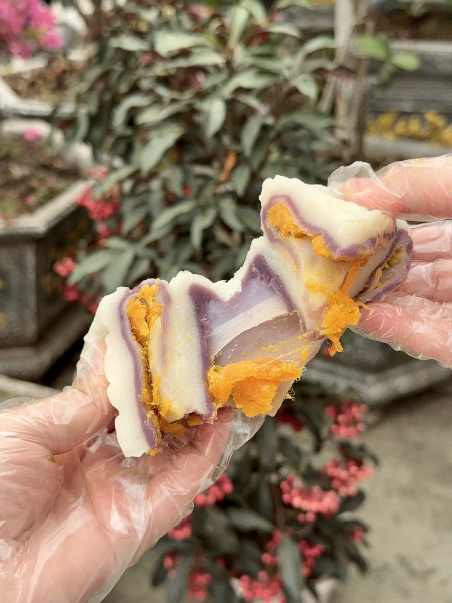 Phạm Na | DDA tweet media