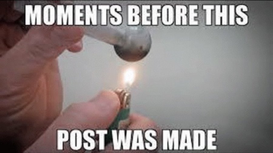 Catturd ™ tweet media