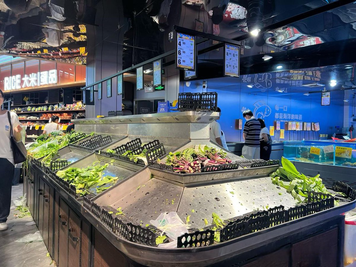 katie marr tweet media