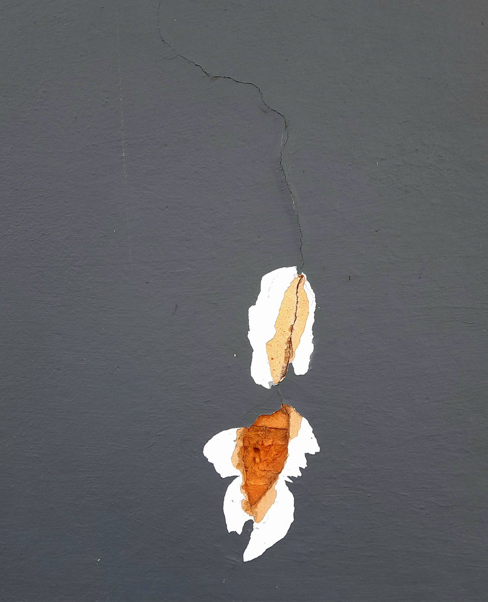 marcelo_lyrio's tweet photo. Cai uma Flor, 2026
#PhotographyIsArt #photography #photo #PHOTOS #photographer #fotografía #fotografia #fotografie #photographie #Foto #abstractart #abstractphotography #picoftheday #FotodelDía #photooftheday #FOTO #abstractphoto #fineartphotography https://t.co/yNzYCttsgT