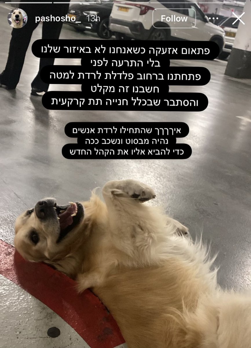 Kav tweet media