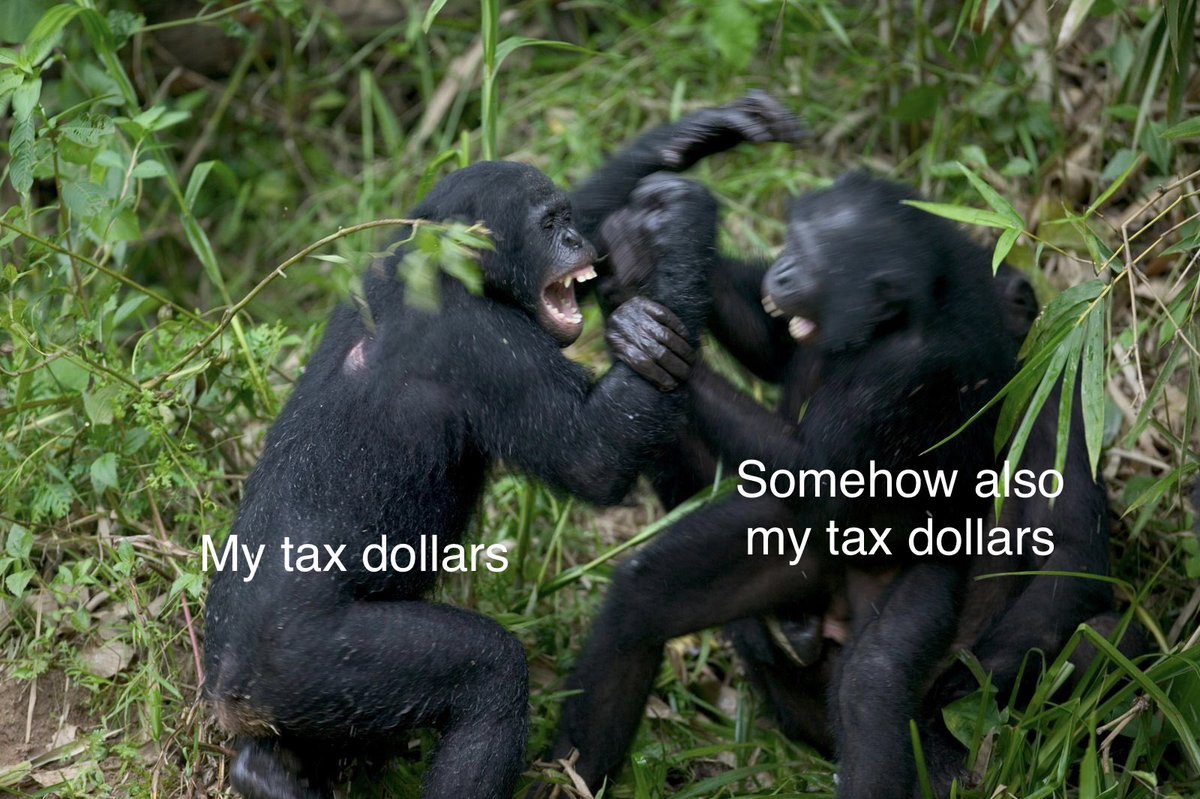 TSilkies tweet media