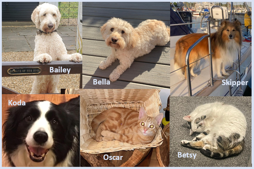 Kings Recruitment tweet media