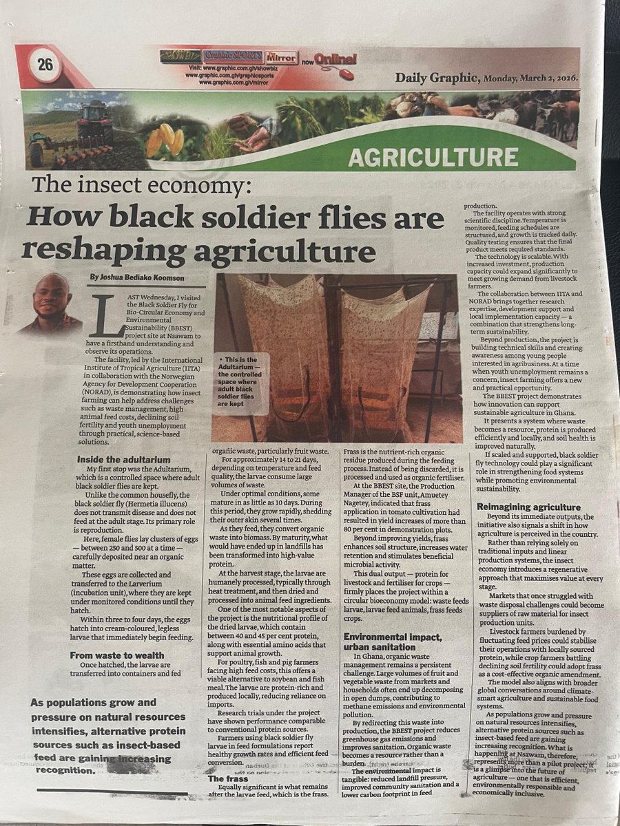 @IITA BBEST Project tweet media