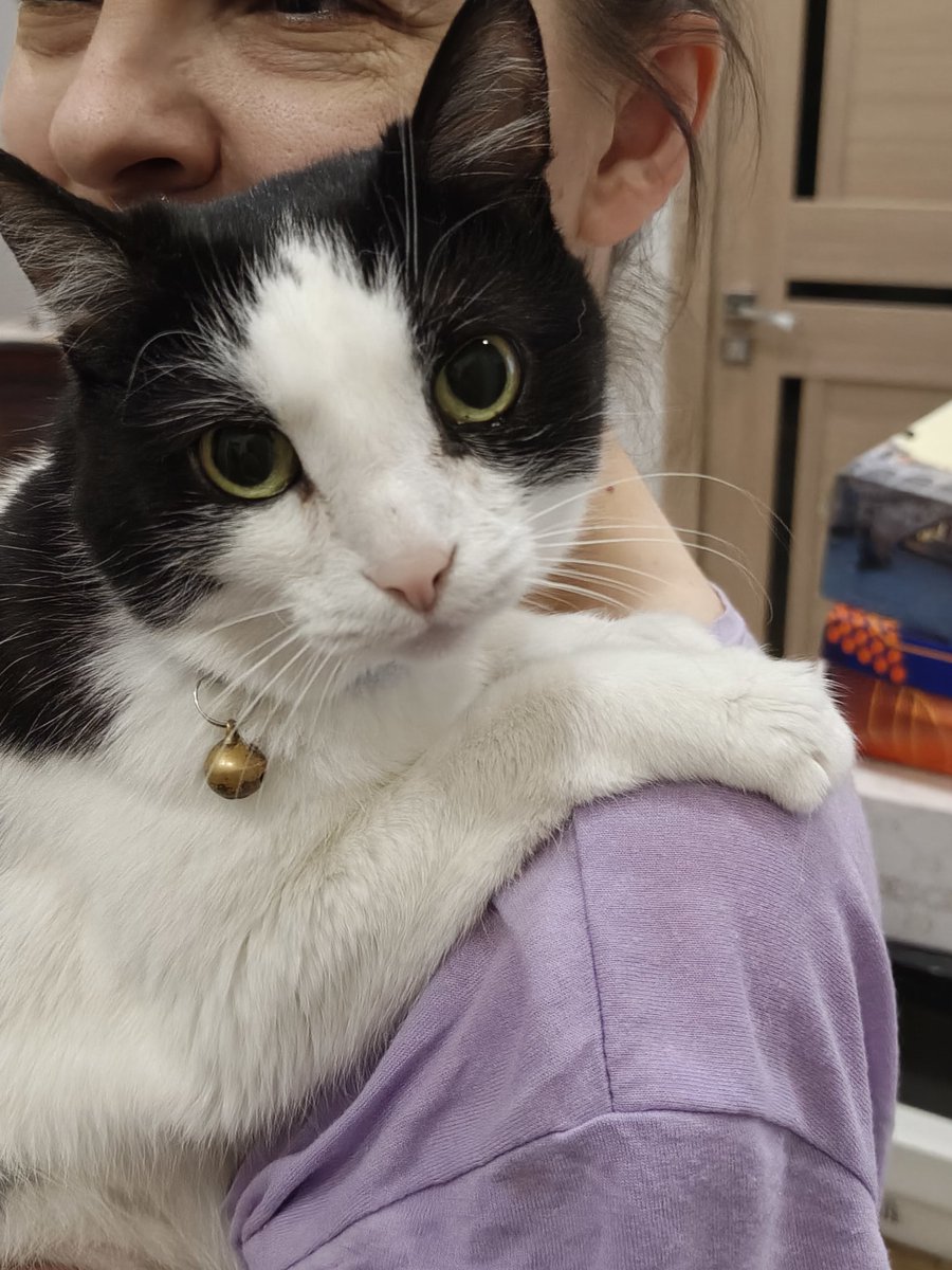 Шелтон весёлый дединсайд🏁 tweet media