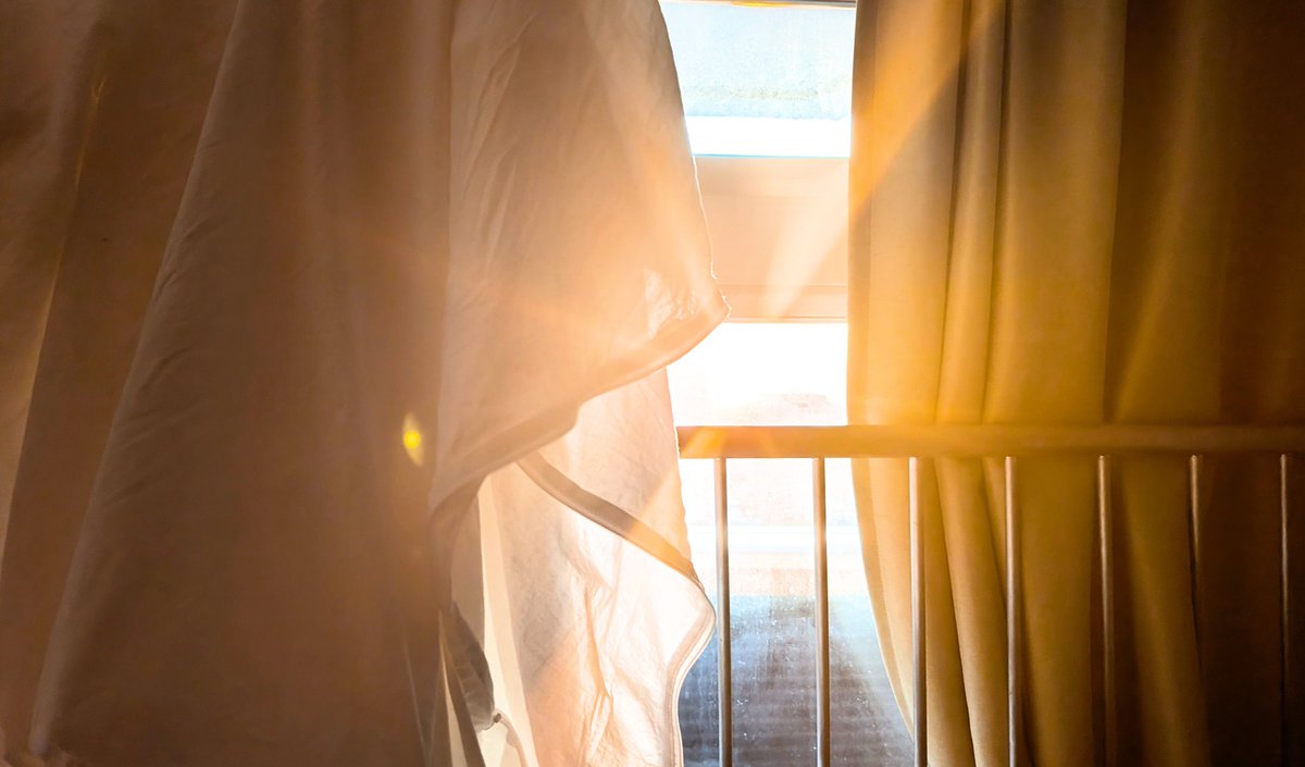 緒方一智 OGATA Kazutomo tweet media