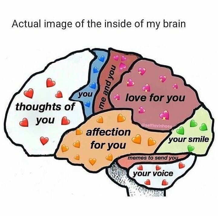 messages. tweet media