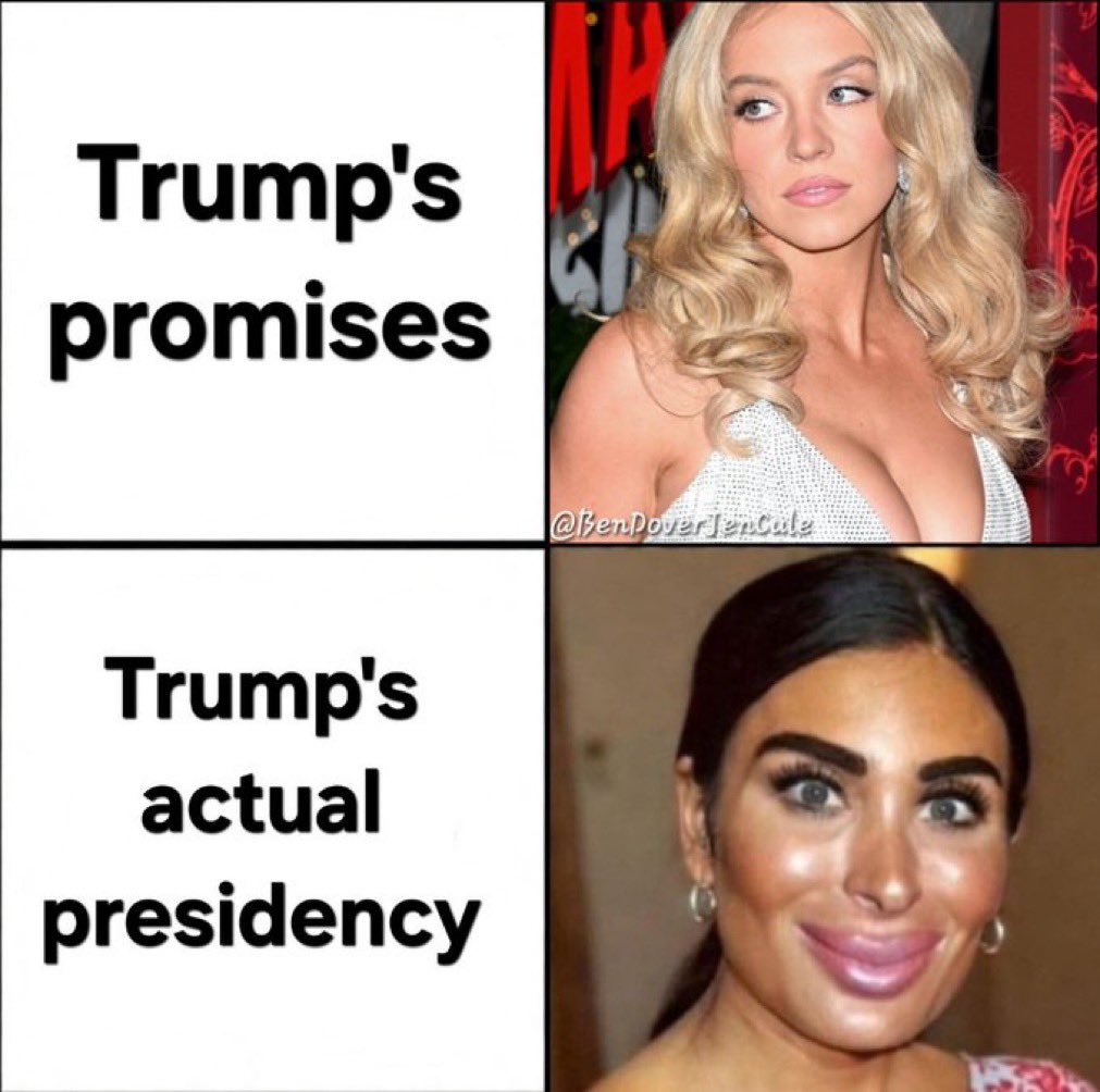 CS Designs tweet media