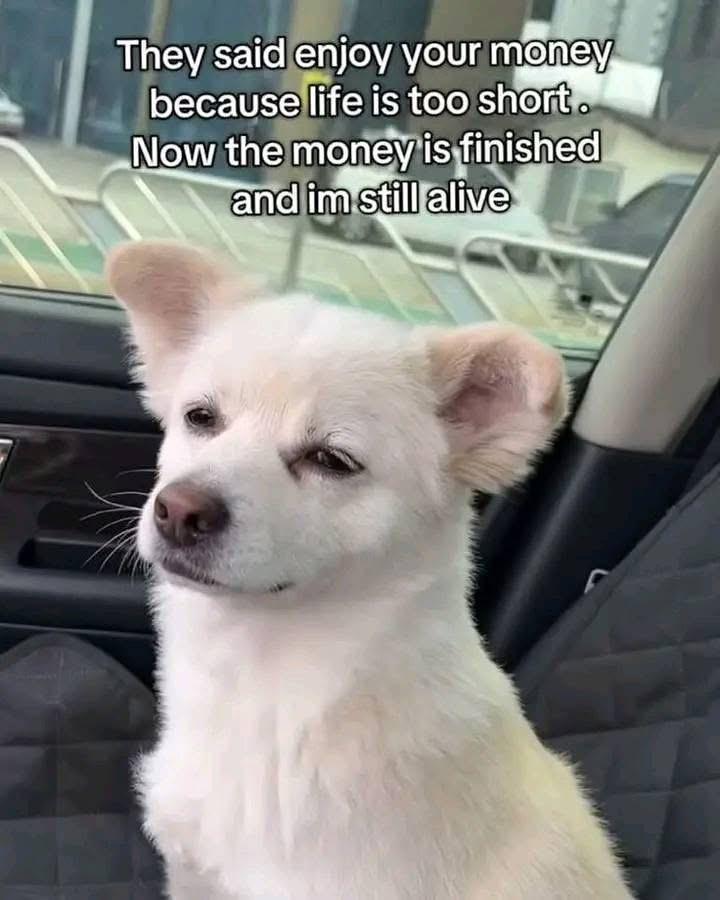 Celestial Crypto tweet media