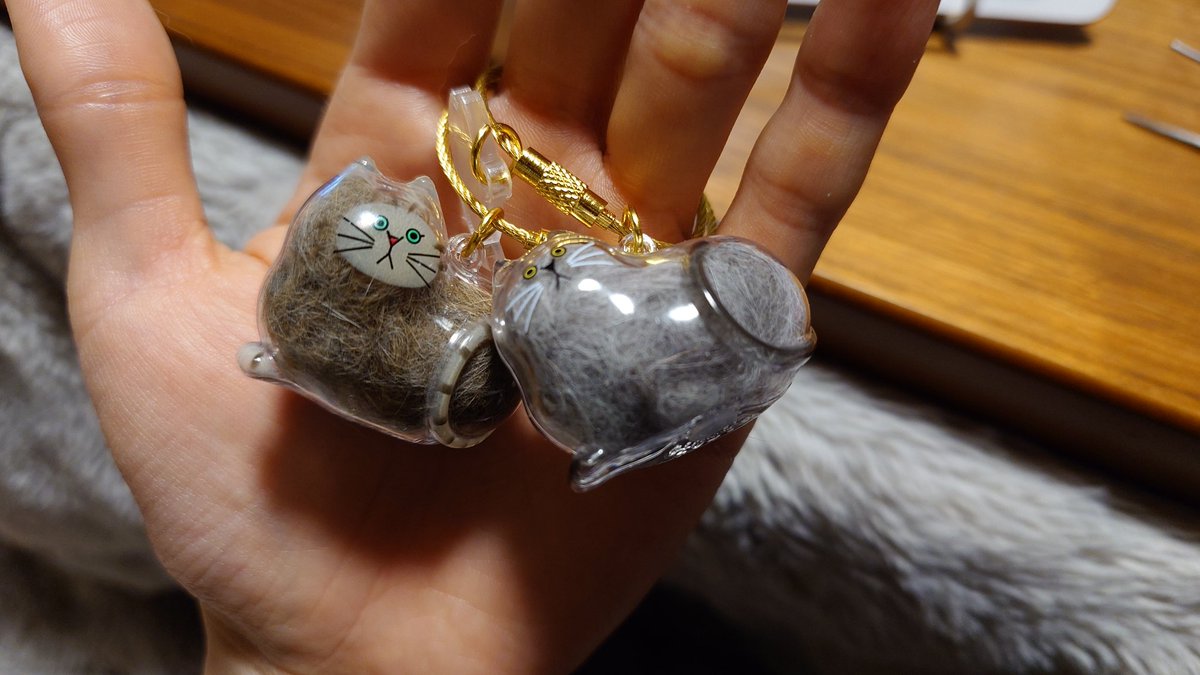 ぽむ👾@愛猫投稿bot tweet media