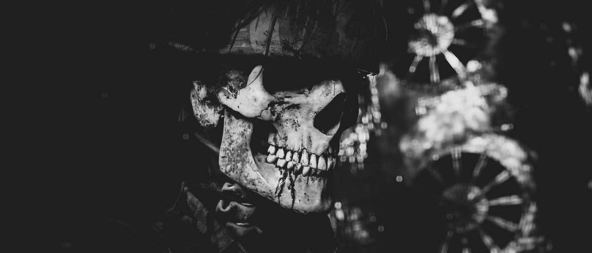 Skull Face Facts tweet media