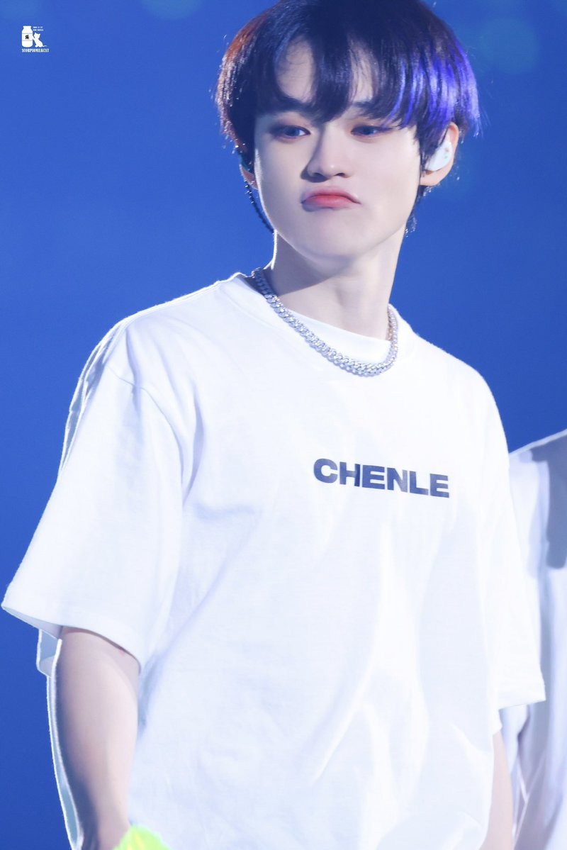 감자도러 tweet media