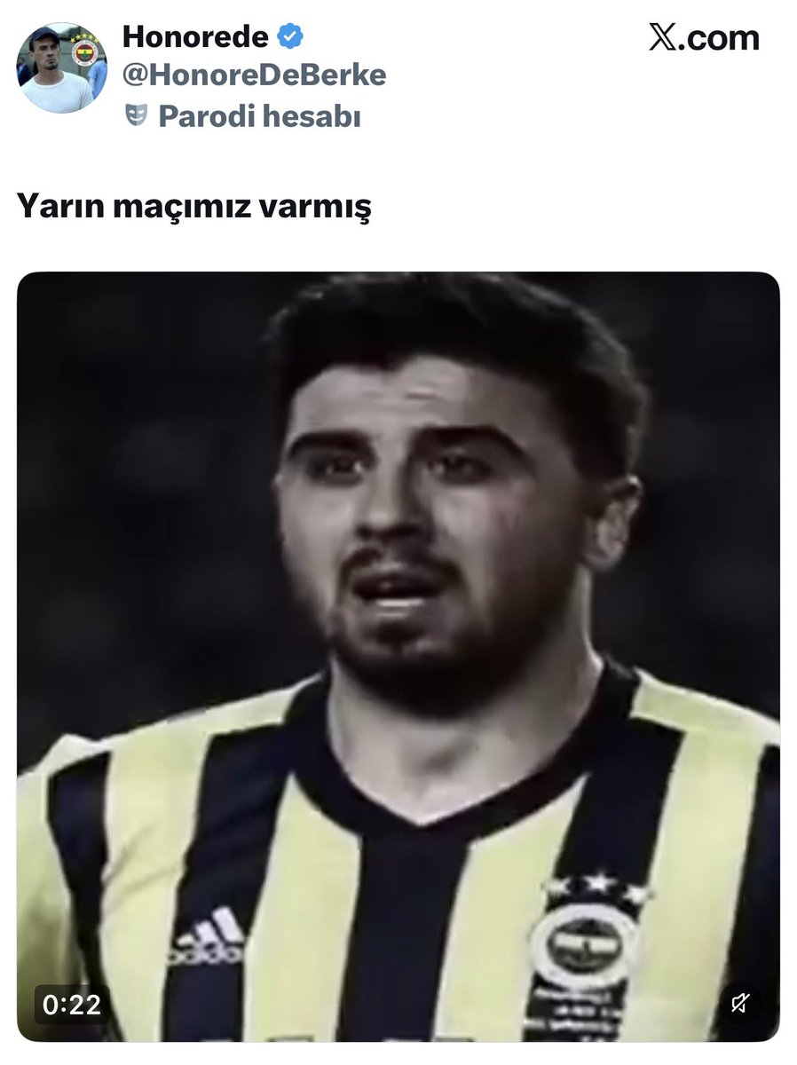 Aslanın Dış Sesi tweet media