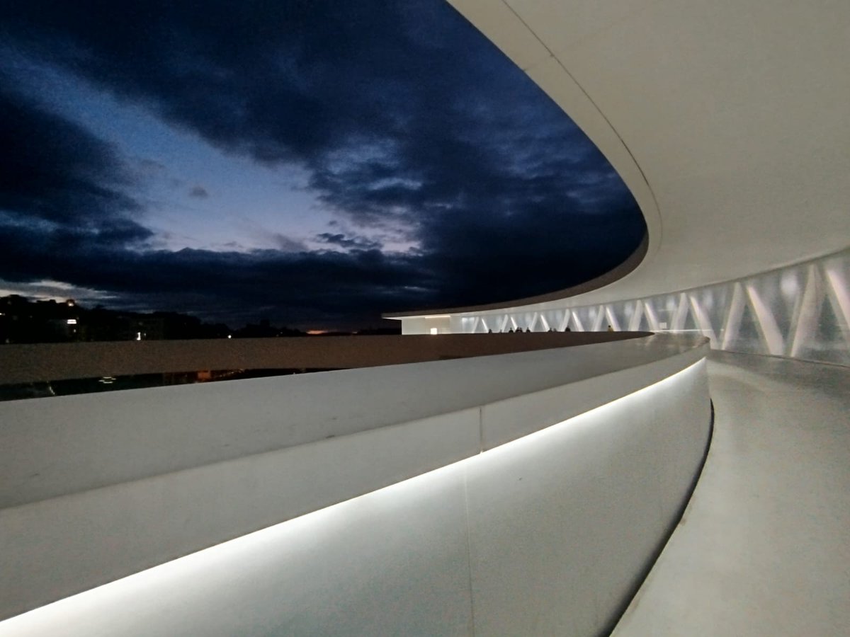 Luz González Prieto tweet media