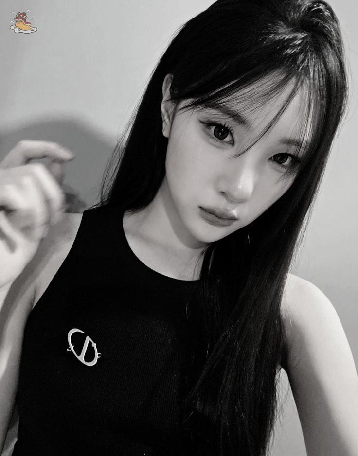 SOC-IE 💛 ˚☽˚.⋆ tweet media