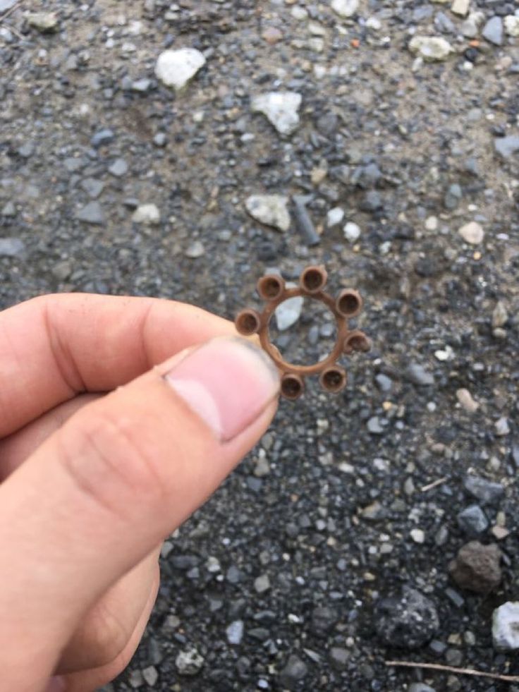 さけのみ🍺@面白ツイート tweet media