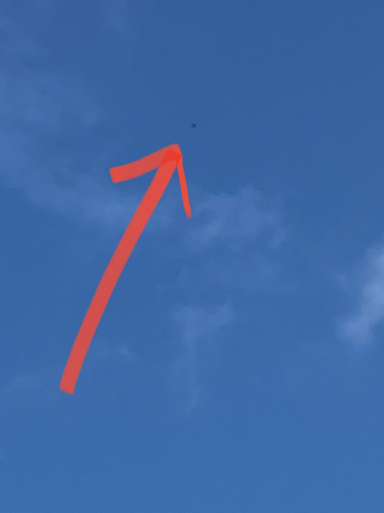 🌵Romy__Czne 🇫🇷🦁 tweet media