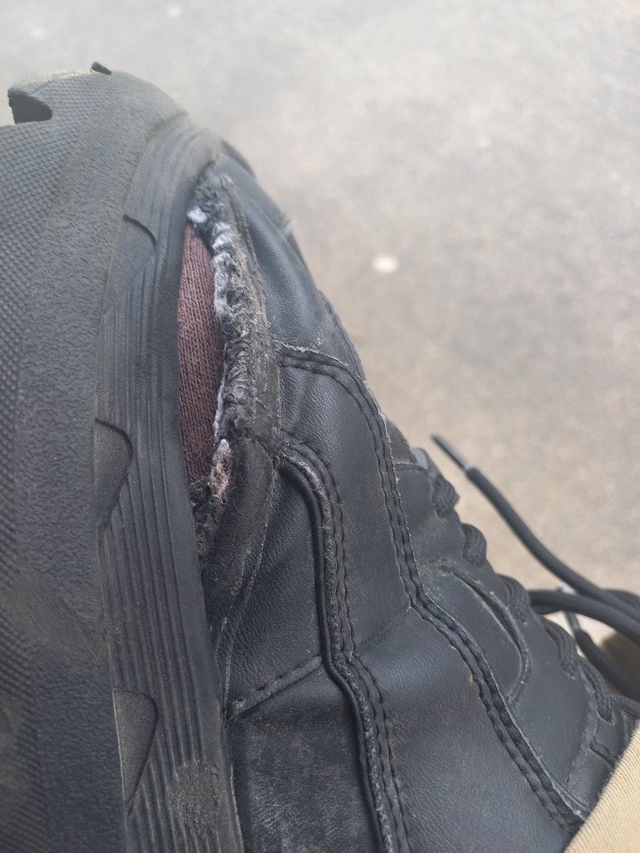 testitickler tweet media