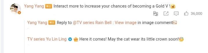 Zhan Zhao Adventures 雨霖铃 tweet media