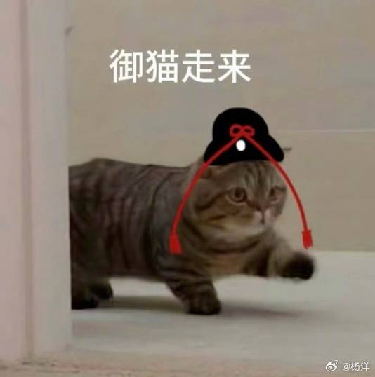 Zhan Zhao Adventures 雨霖铃 tweet media