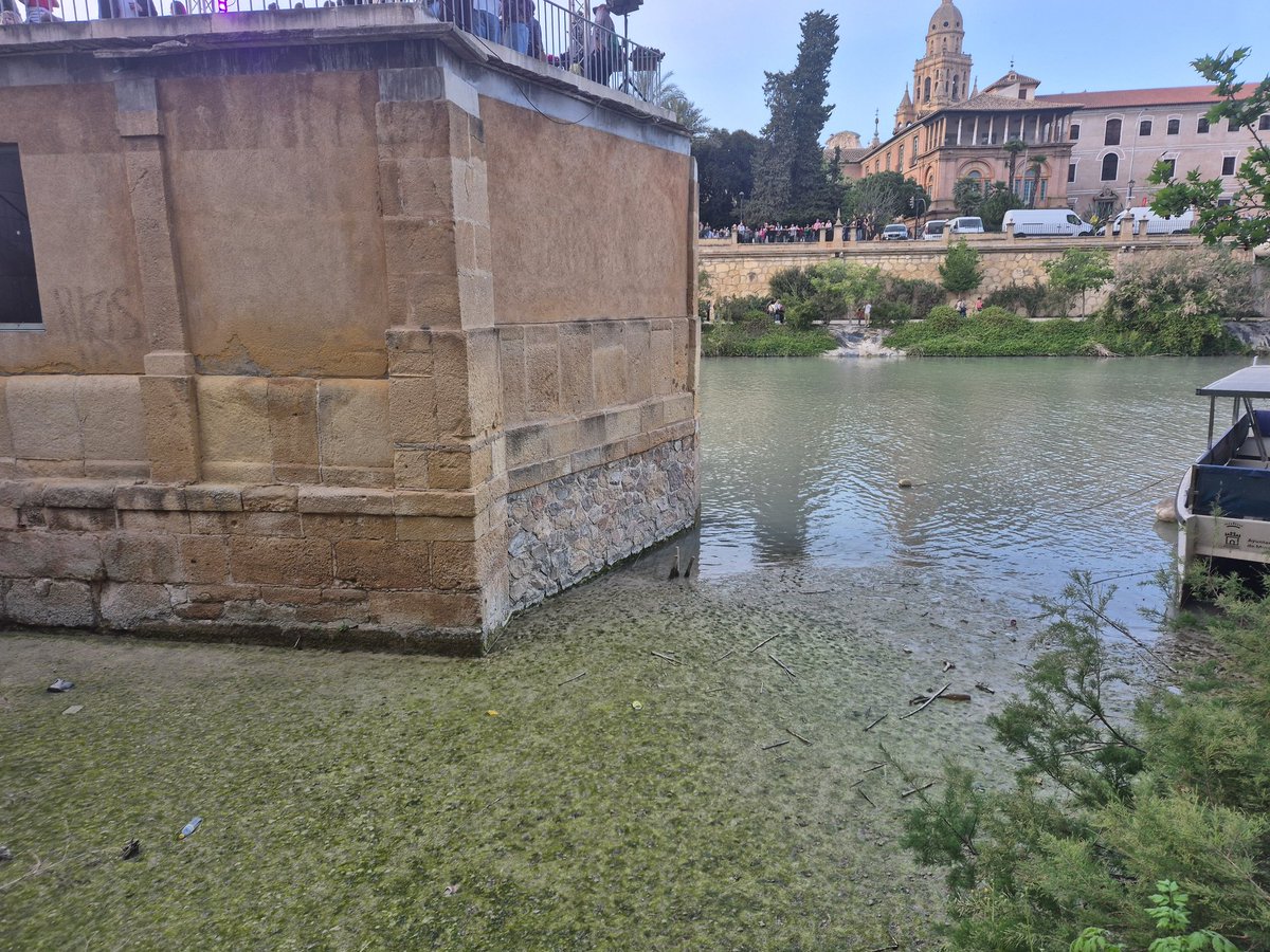 Elisa Reche tweet media