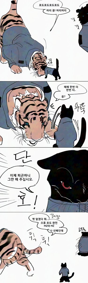 Scottish_Fold12's tweet photo. 머리꿍머리꿍 https://t.co/983I7zkx5a