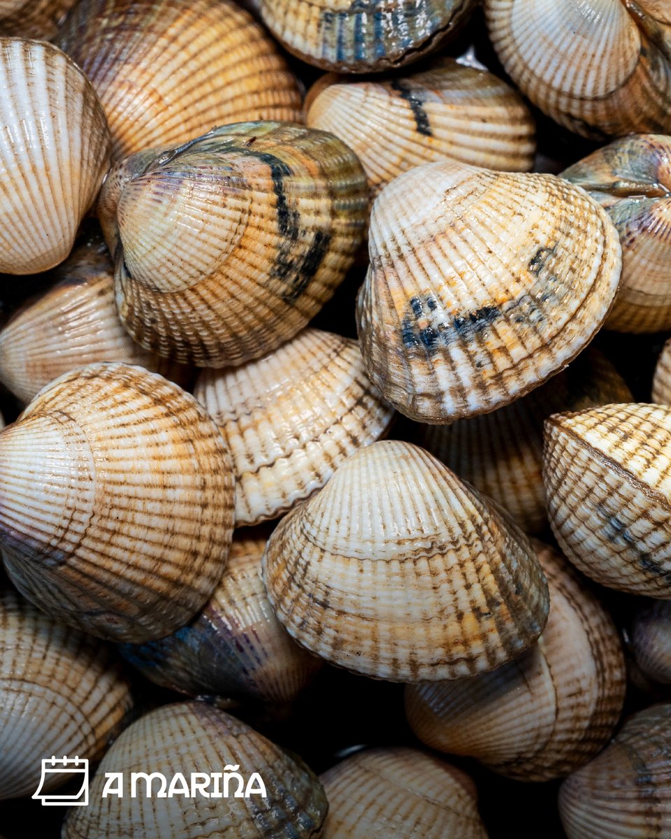 A Mariña Lucense Turismo tweet media