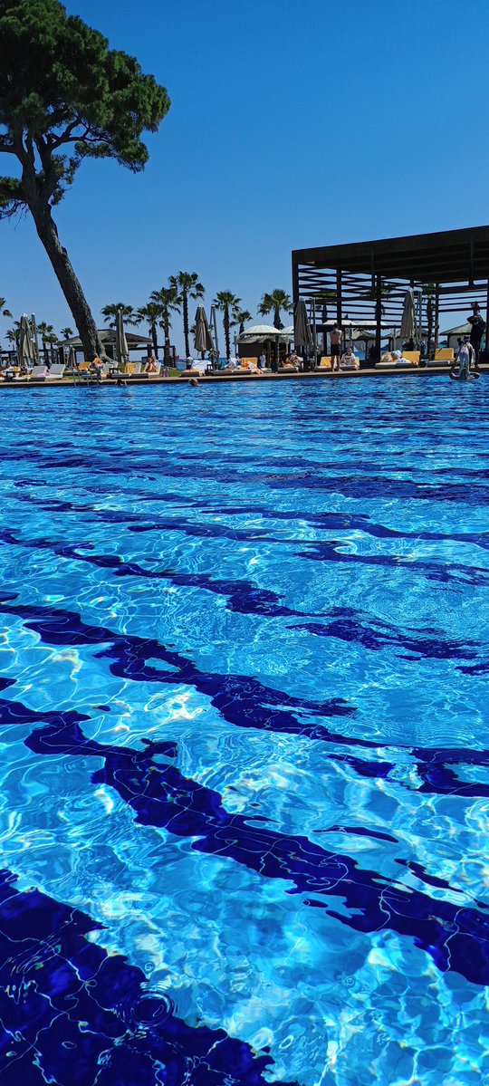 Emrah Bey tweet media