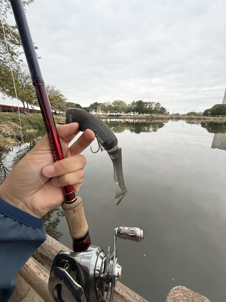 kokori45ko's tweet image. Vander180WST 初投げ❗️

特徴的なダブルテールと、ショートリップを搭載した、他とは一線を画す、まったく新しいスイムベイト！楽しい！

今日の雨はチャンスだった❗️
ベイトの活性が高いエリアがあって、水も良く他のリグでライン走るバイト…すっぽ抜け😭

また次❗️
#BUTZ
#GOMEXUS
#BUTZbassfishing