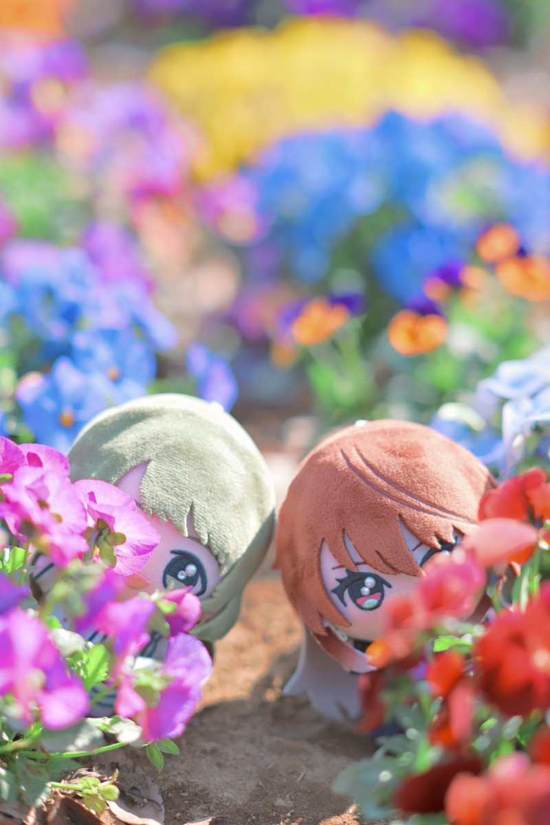 ひした tweet media